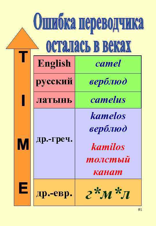  English camel русский верблюд латынь camelus kamelos верблюд др. -греч. kamilos толстый канат