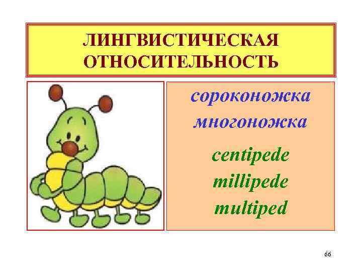 ЛИНГВИСТИЧЕСКАЯ ОТНОСИТЕЛЬНОСТЬ сороконожка многоножка centipede millipede multiped 66 