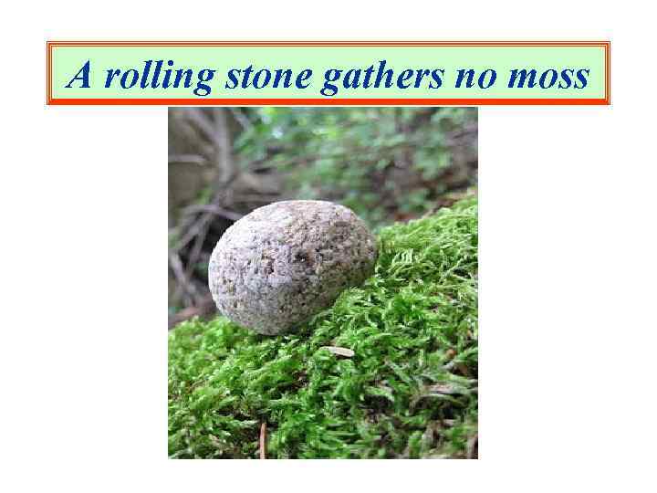 A rolling stone gathers no moss 