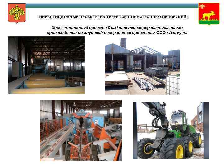 ИНВЕСТИЦИОННЫЕ ПРОЕКТЫ НА ТЕРРИТОРИИ МР «ТРОИЦКО-ПЕЧОРСКИЙ» Инвестиционный проект «Создание лесоперерабатывающего производства по глубокой переработке