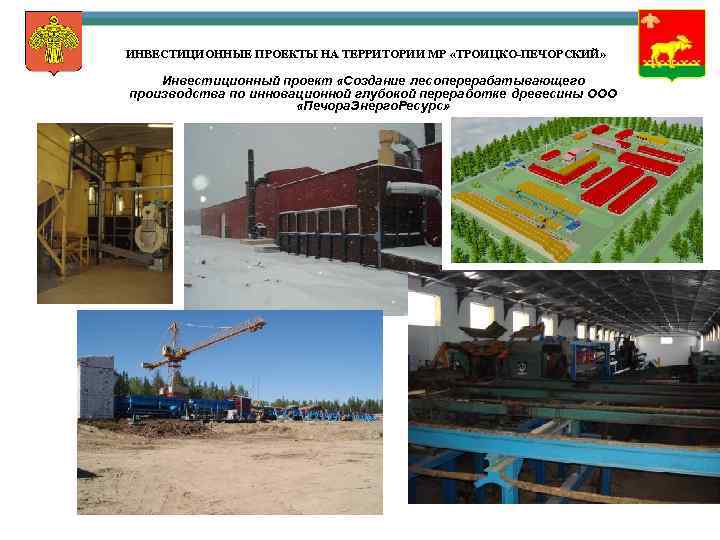 ИНВЕСТИЦИОННЫЕ ПРОЕКТЫ НА ТЕРРИТОРИИ МР «ТРОИЦКО-ПЕЧОРСКИЙ» Инвестиционный проект «Создание лесоперерабатывающего производства по инновационной глубокой