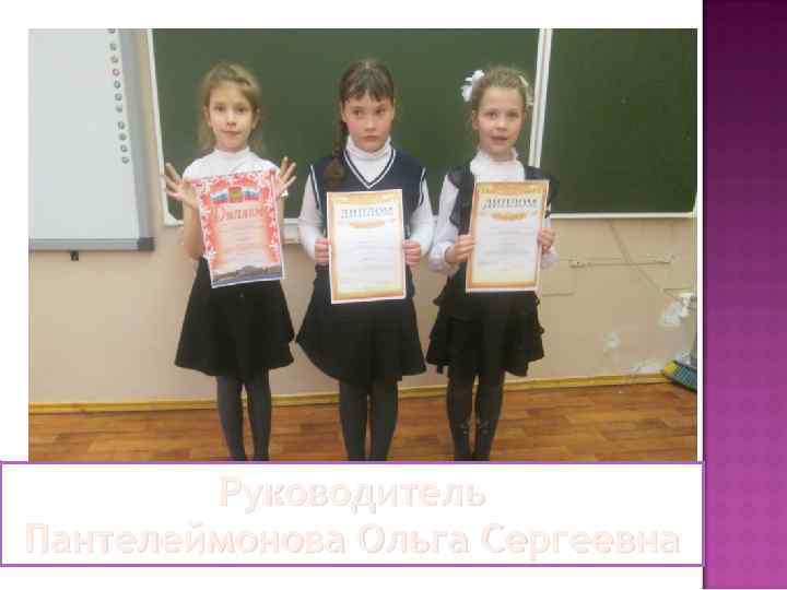 Руководитель Пантелеймонова Ольга Сергеевна 