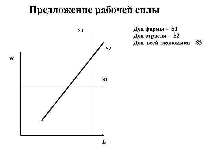 Предложение рабочей силы S 3 S 2 W S 1 L Для фирмы –