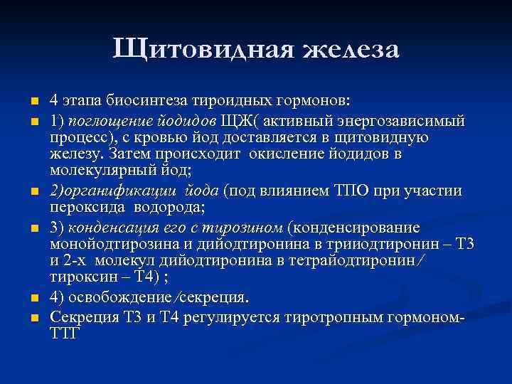 Щитовидная железа n n n 4 этапа биосинтеза тироидных гормонов: 1) поглощение йодидов ЩЖ(