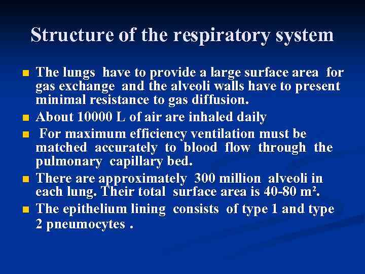 Structure of the respiratory system n n n The lungs have to provide a