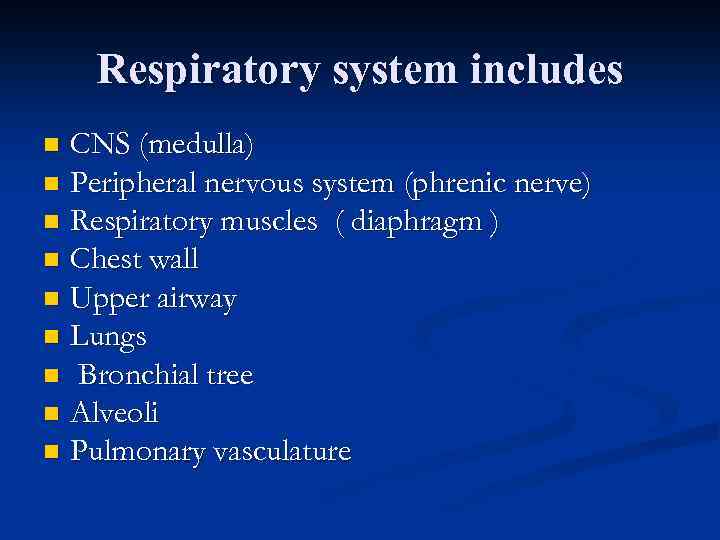 Respiratory system includes CNS (medulla) n Peripheral nervous system (phrenic nerve) n Respiratory muscles