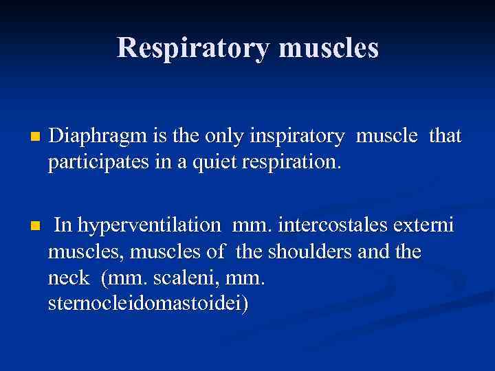 Respiratory muscles n Diaphragm is the only inspiratory muscle that participates in a quiet