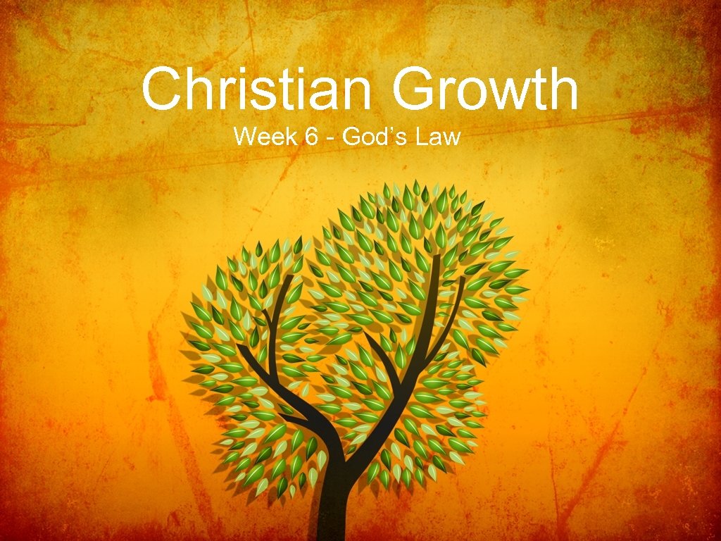 Christian Growth Week 6 - God’s Law 