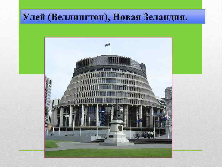 Улей (Веллингтон), Новая Зеландия. 