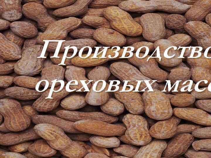 Производство ореховых масс 