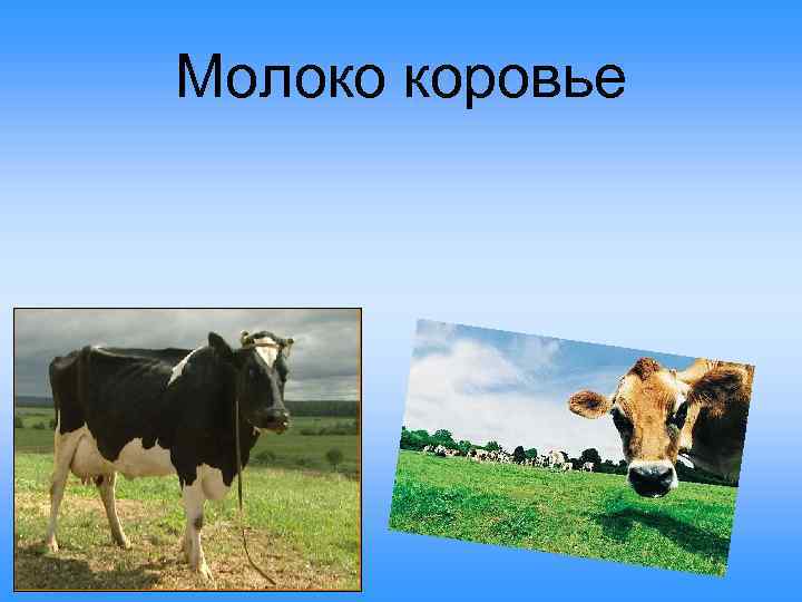 Молоко коровье 
