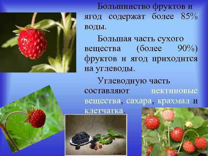 Большинство фруктов и ягод содержат более 85% воды. Большая часть сухого вещества (более 90%)