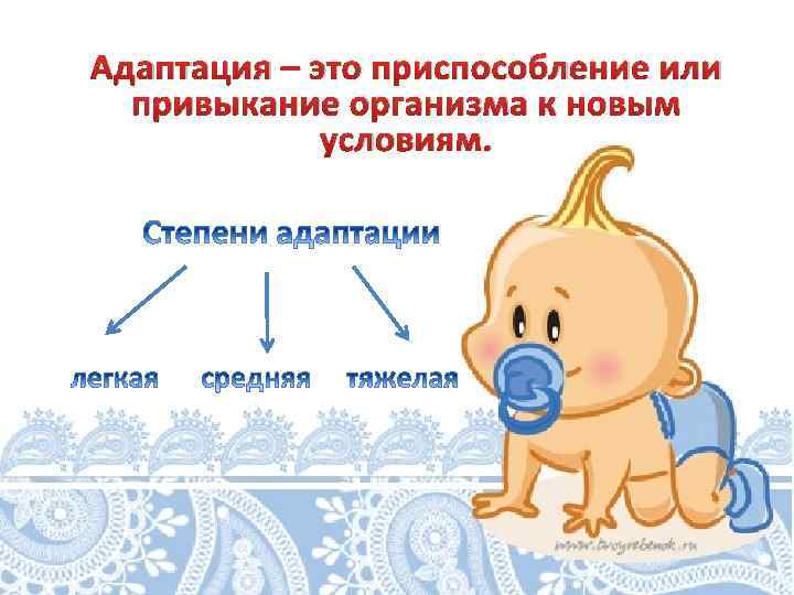 Адаптация – это приспособление или привыкание организма к новым условиям. 