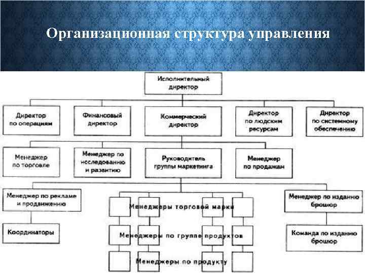Организационная структура управления 
