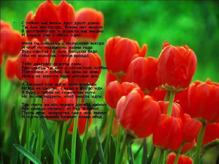  • С тобою мы знаем друга давно Ты мне как сестра, ближе нет