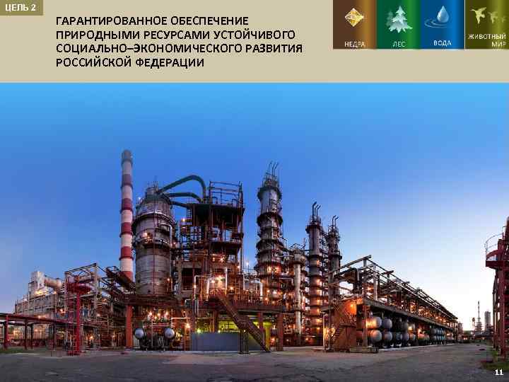 ЦЕЛЬ 2 ГАРАНТИРОВАННОЕ ОБЕСПЕЧЕНИЕ ПРИРОДНЫМИ РЕСУРСАМИ УСТОЙЧИВОГО СОЦИАЛЬНО–ЭКОНОМИЧЕСКОГО РАЗВИТИЯ РОССИЙСКОЙ ФЕДЕРАЦИИ 11 