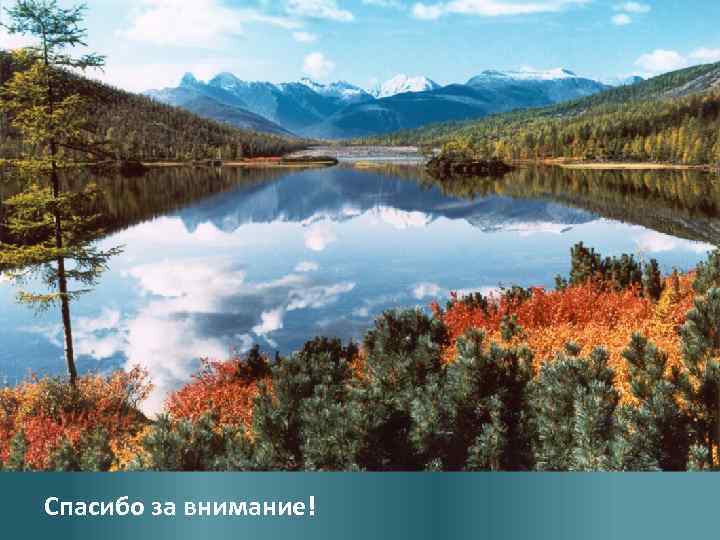 Планируются ключевые мероприятия в сфере деятельности Минприроды в 2014 году • Развитие и укрепление