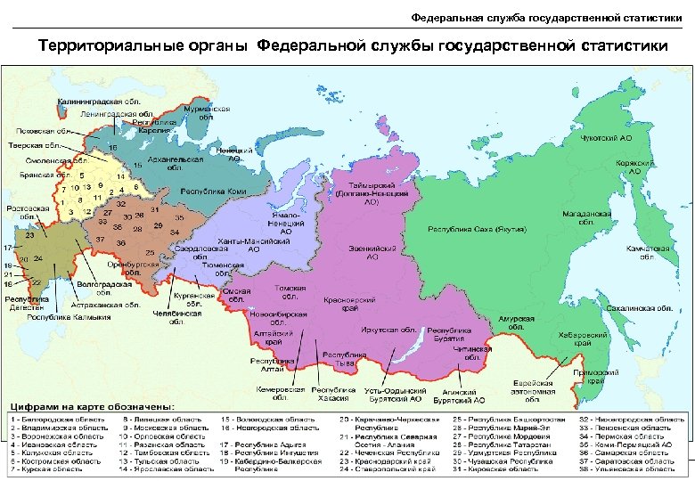 Территориальные органы федеральных государственных органов. Территориальные органы государственной статистики. Карта территориальных органов. Территориальные органы государственной статистики карта. Карта территориальных органов статистики России.