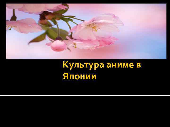Культура аниме в Японии 