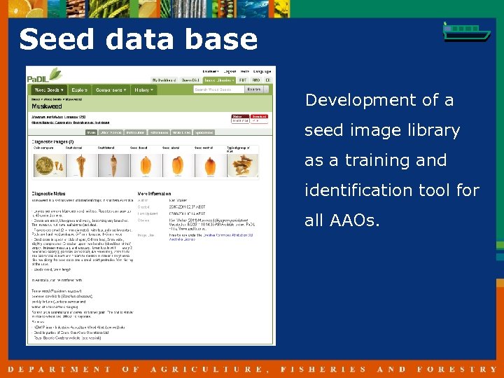 Seed data base Development of a seed image library as a training and identification