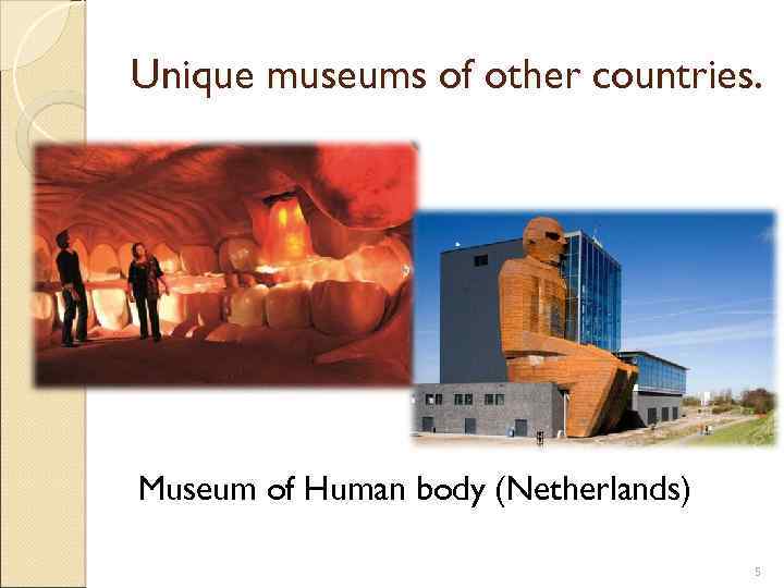 Unique museums of other countries. Museum of Human body (Netherlands) 5 