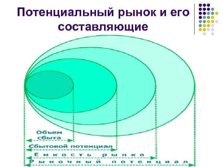 Потенциальный рынок и его составляющие 