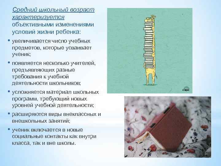  Средний школьный возраст характеризуется объективными изменениями условий жизни ребенка: • увеличивается число учебных