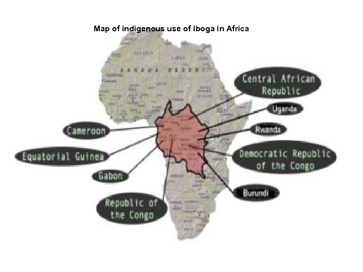 Map of indigenous use of Iboga in Africa 