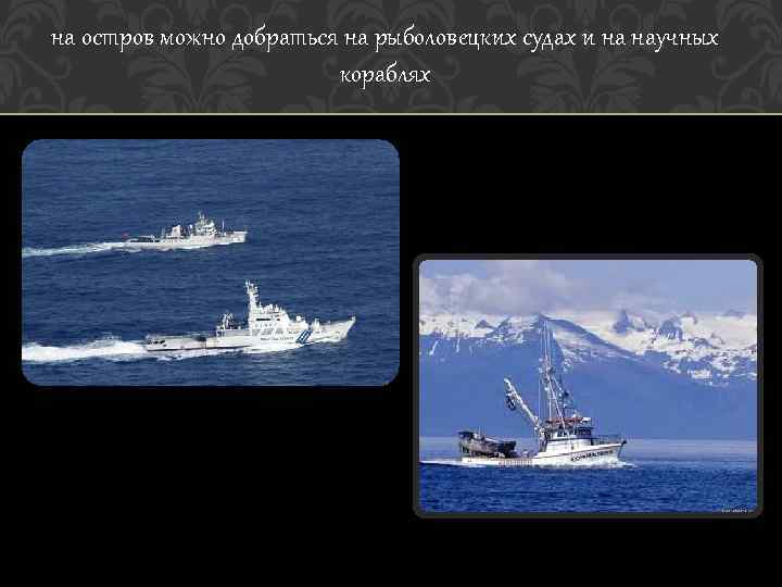 на остров можно добраться на рыболовецких судах и на научных кораблях 