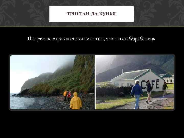 ТРИСТАН-ДА-КУНЬЯ На Тристане практически не знают, что такое безработица 