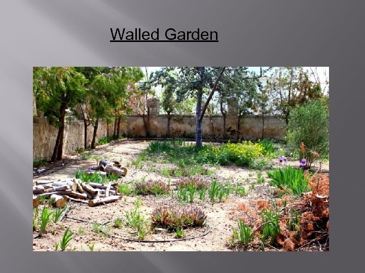Walled Garden 