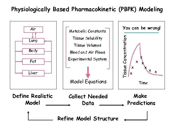 Physiologically Based Pharmacokinetic (PBPK) Modeling Lung Body Fat Metabolic Constants Tissue Solubility Tissue Volumes