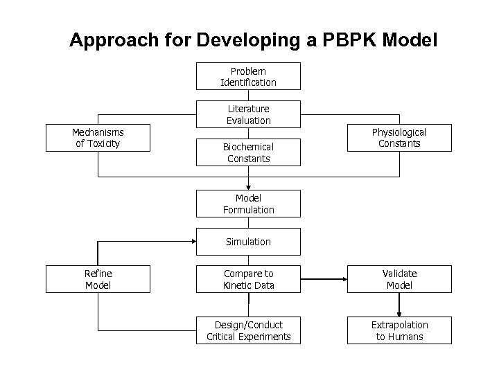 Approach for Developing a PBPK Model Problem Identification Mechanisms of Toxicity Literature Evaluation Biochemical