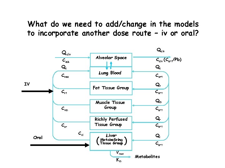 What do we need to add/change in the models to incorporate another dose route