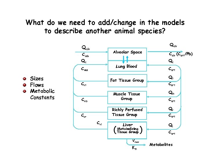 What do we need to add/change in the models to describe another animal species?