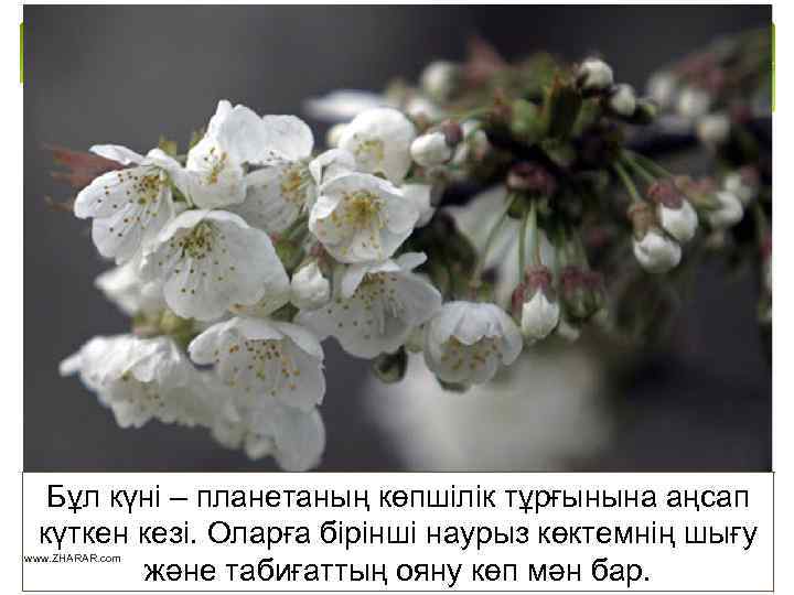 Бұл күні – планетаның көпшілік тұрғынына аңсап күткен кезі. Оларға бірінші наурыз көктемнің шығу