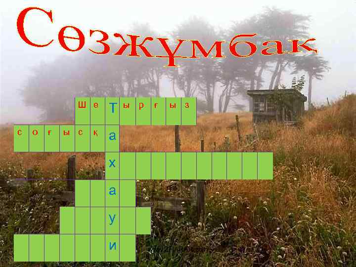 Ш е с о ғ ы с қ Т ы р ғ ы з