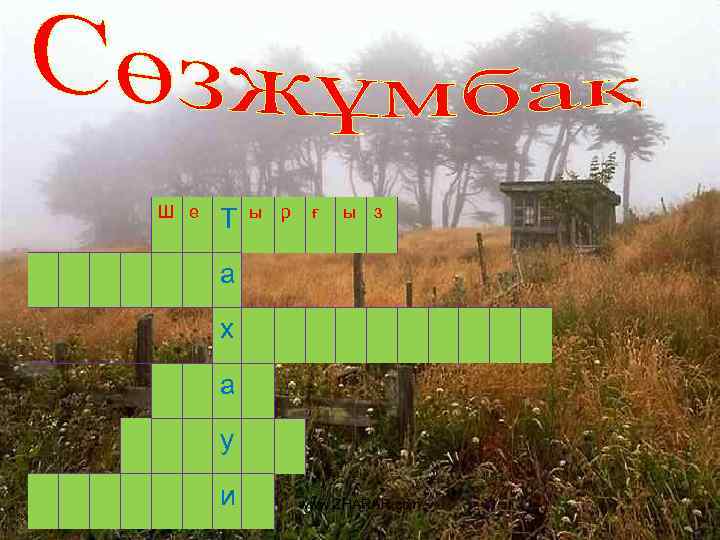 Ш е Т ы р ғ ы з а х а у и www.