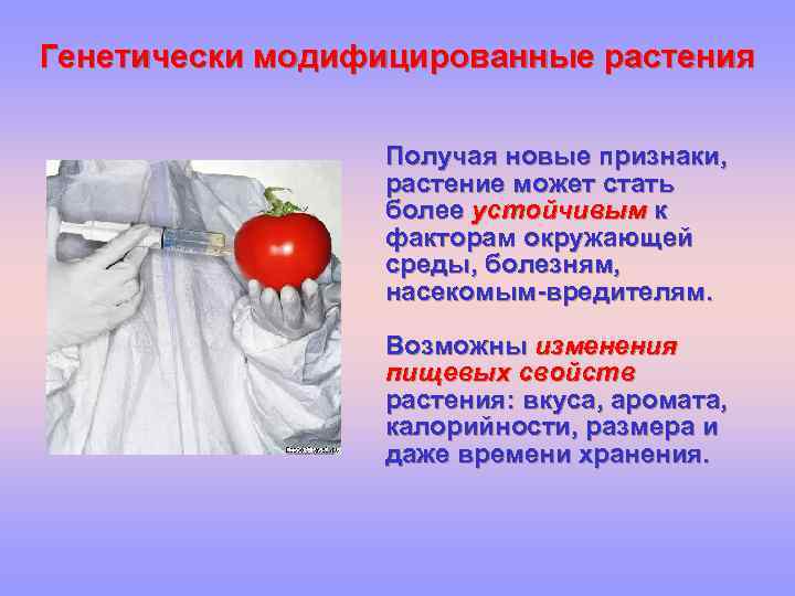 Генетически модифицированные растения Получая новые признаки, растение может стать более устойчивым к факторам окружающей