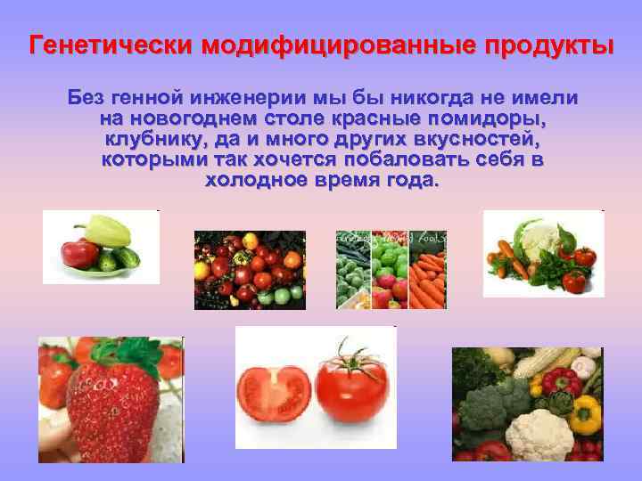 Генетически модифицированные продукты Без генной инженерии мы бы никогда не имели на новогоднем столе