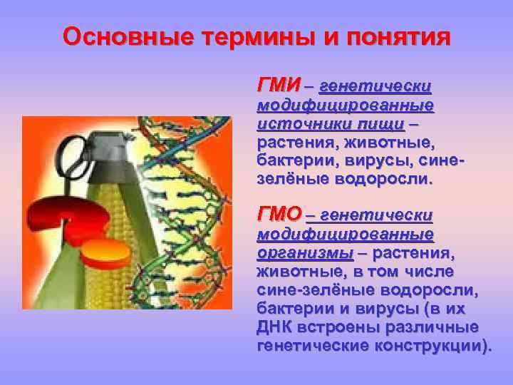 Основные термины и понятия ГМИ – генетически модифицированные источники пищи – растения, животные, бактерии,