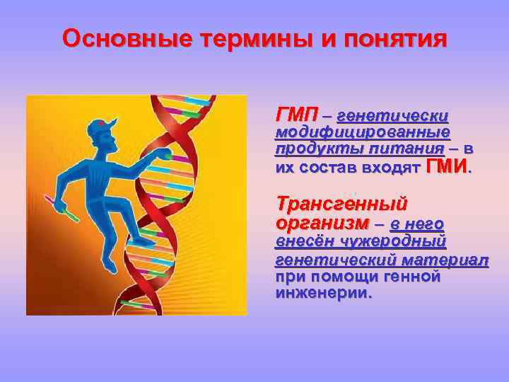 Основные термины и понятия ГМП – генетически модифицированные продукты питания – в их состав