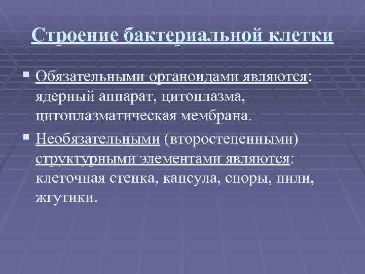 Строение бактериальной клетки § Обязательными органоидами являются: ядерный аппарат, цитоплазматическая мембрана. § Необязательными (второстепенными)