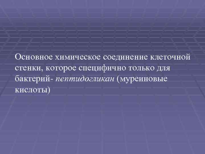 Основное химическое соединение клеточной стенки, которое специфично только для бактерий- пептидогликан (муреиновые кислоты) 
