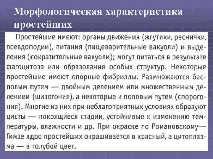 Полезные свойства простейших. Морфологическая характеристика простейших. Морфологические особенности. Морфонологичесая характеристика. Характеристика простейших.