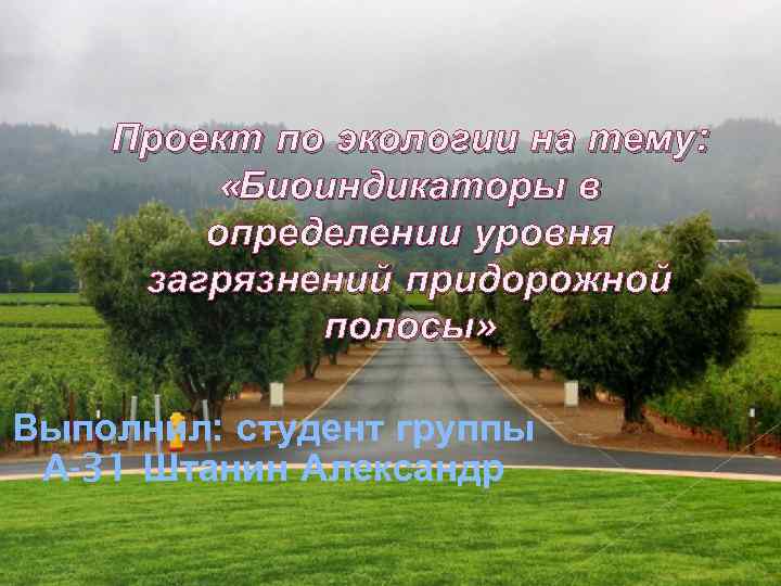 Проект по экологии на тему: «Биоиндикаторы в определении уровня загрязнений придорожной полосы» Выполнил: студент