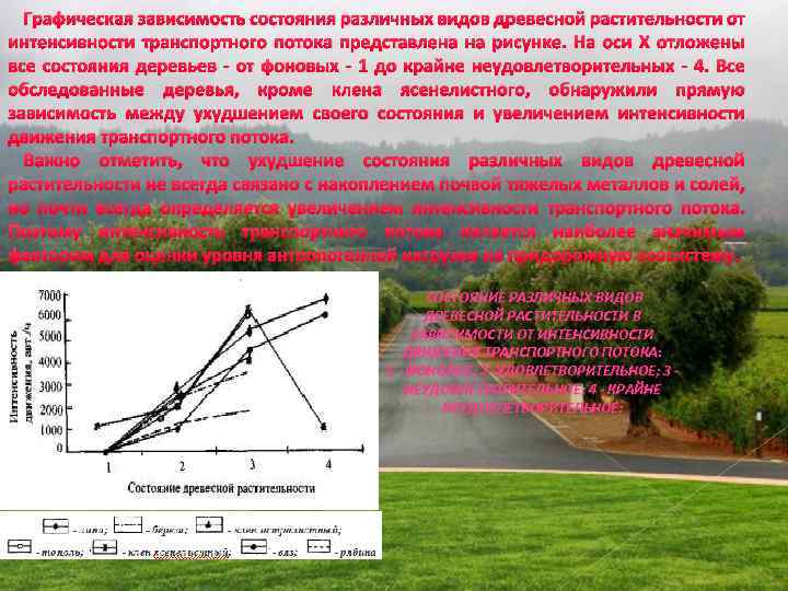 Графическая зависимость состояния различных видов древесной растительности от интенсивности транспортного потока представлена на рисунке.