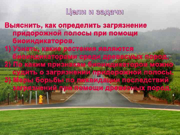 Цели и задачи Выяснить, как определить загрязнение придорожной полосы при помощи биоиндикаторов. 1) Узнать,