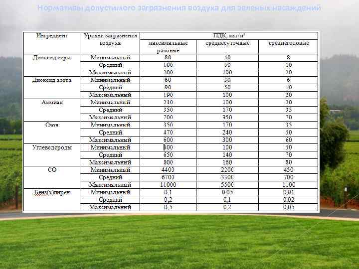 Нормативы допустимого загрязнения воздуха для зеленых насаждений 