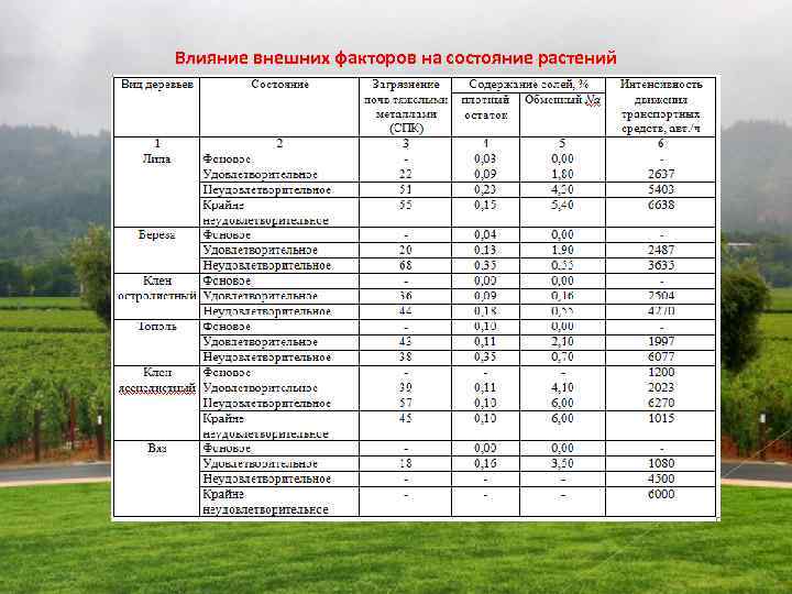 Влияние внешних факторов на состояние растений 